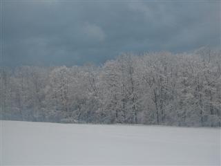 January landscape